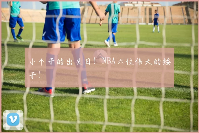 小个子的出头日！NBA六位伟大的矮子！