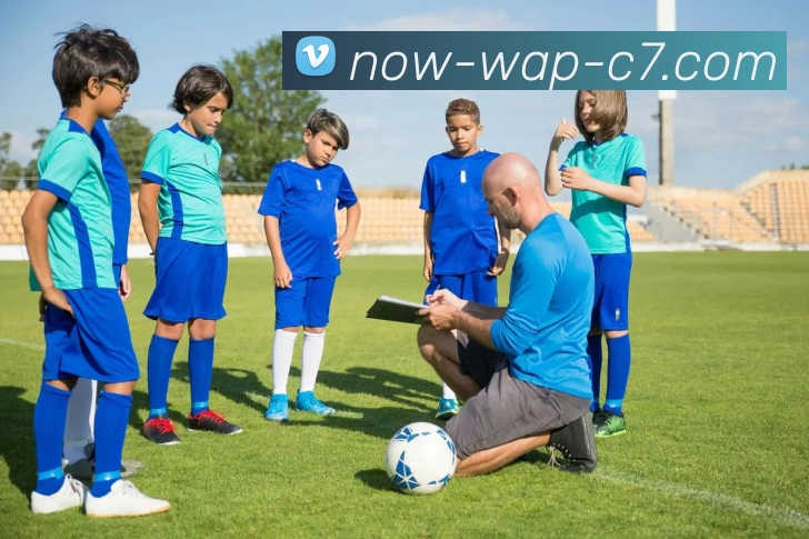 c7娱乐平台生态图